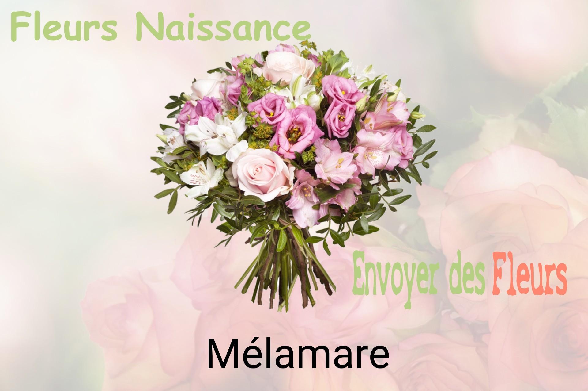 Bouquet de fleurs de naissance livré à Mélamare