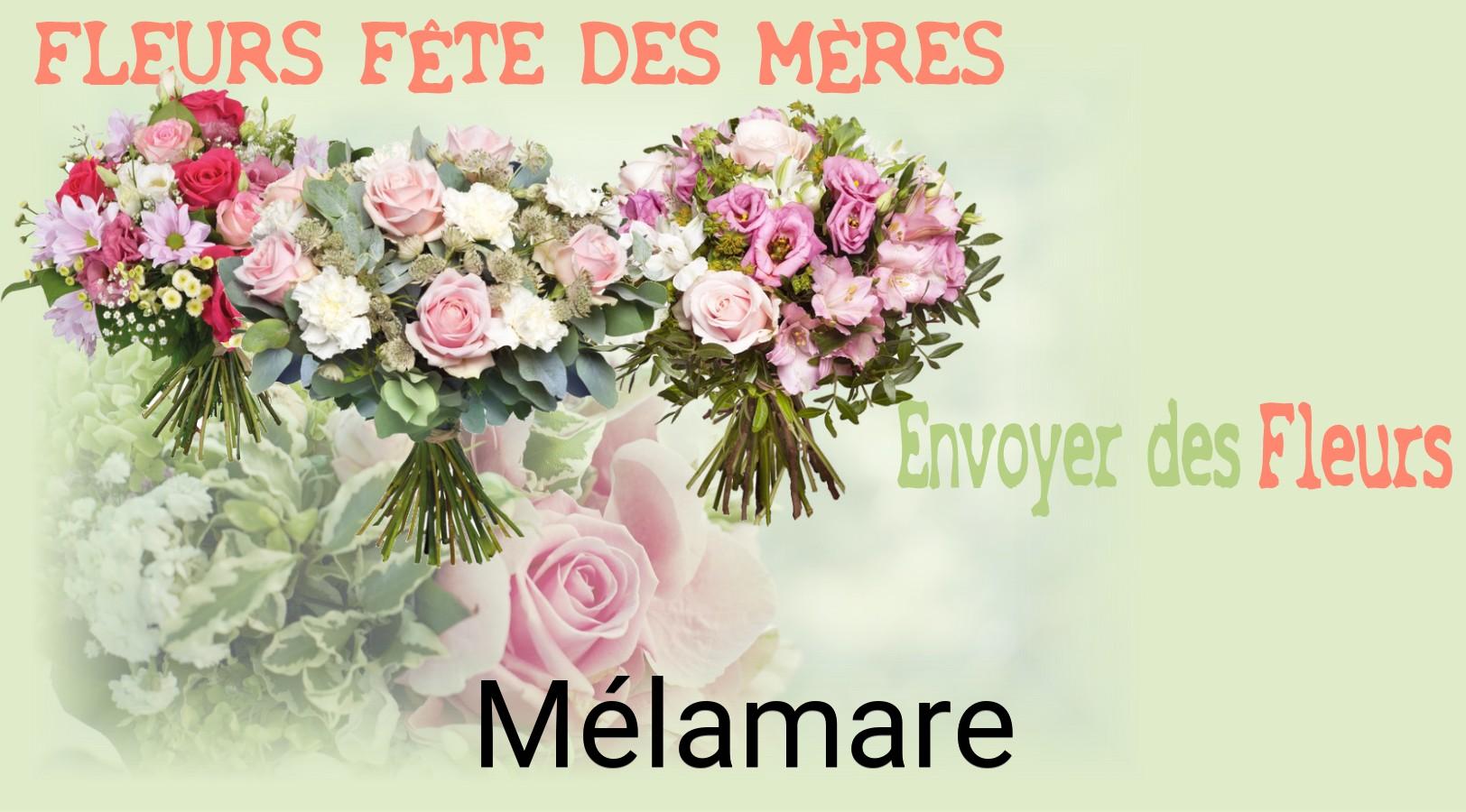 Bouquet de Fête des Mères livré à Mélamare